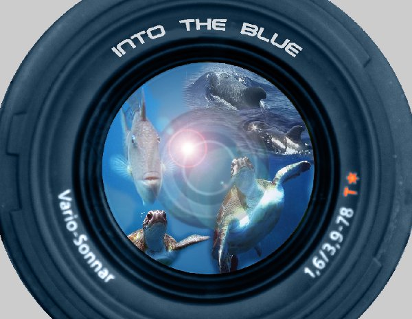 Photo collage Photo collage