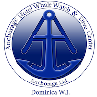Logo Anchorage Hotel Whale Watch and Dive Center Logo Anchorage Hotel Whale Watch and Dive Center